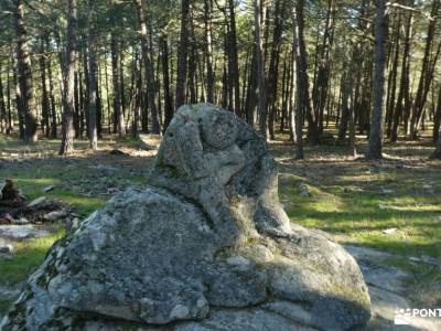 Ruta Pre-Nochebuena - Atalayas del Valladal; rutas verdes zapatos senderismo rutas en la sierra de m